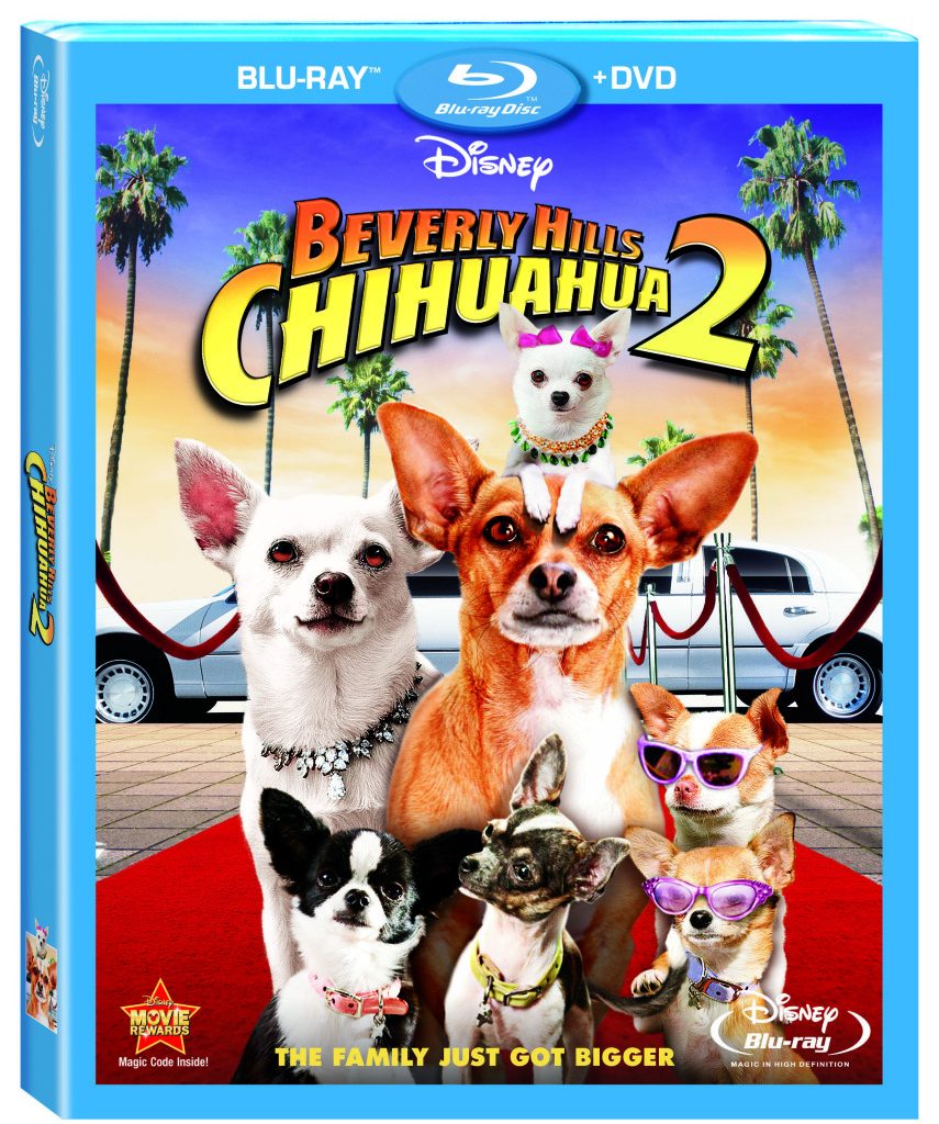 BeveryHillChihuahuaTwoBlurayComboArt Bevery Hills Chihuahua 2 Blu-ray