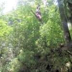 Tour Guide Diving