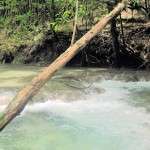 Mayfield Falls waterfalls