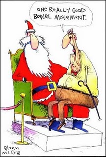 284 funnychristmas Happy Holidays
